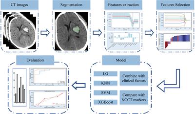 Efficacy of non-enhanced computer tomography-based radiomics for predicting hematoma expansion: A meta-analysis